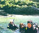 Snorkeling close to Jeffrey's Bay